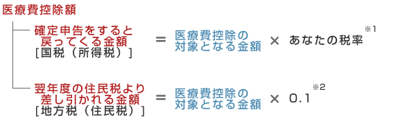 医療費控除額