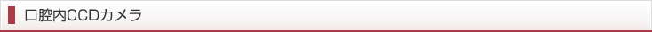 口腔内CCDカメラ