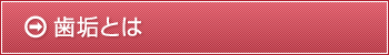 歯垢とは
