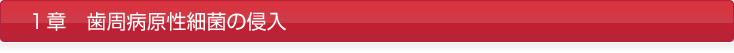 1章 歯周病原性細菌の侵入