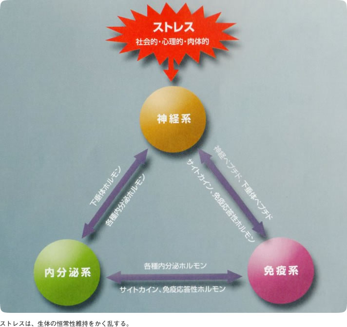 ¡¦¹ã¥è¡¦¡¦£í¥á¡¦€¢æ4Þ䎻Æä!¡¦¡ò常性ç¶åê¢ä