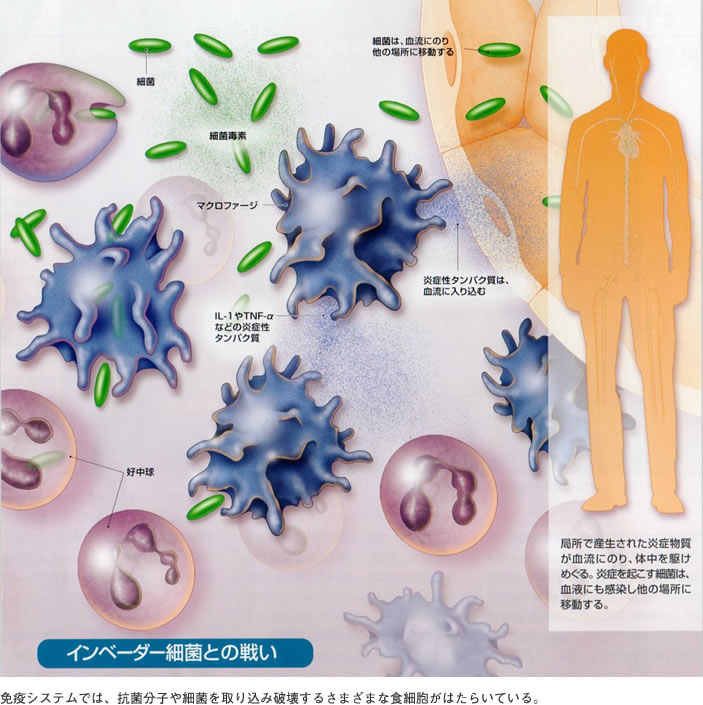 ¡¦ºæ6¡¦£ì¥â¹ã¥æ¡¦ ¡¦§ã¡è¥à¢å¡¦çí¸å(¡¦LÀä