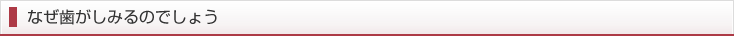 なぜ歯がしみるのでしょう