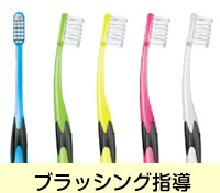 ブラッシング指導